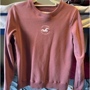 Hollister sweater